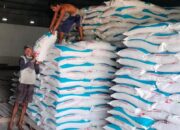 Jelang MT 1 Stok Pupuk Bersubsidi Di Sergai Mencukupi