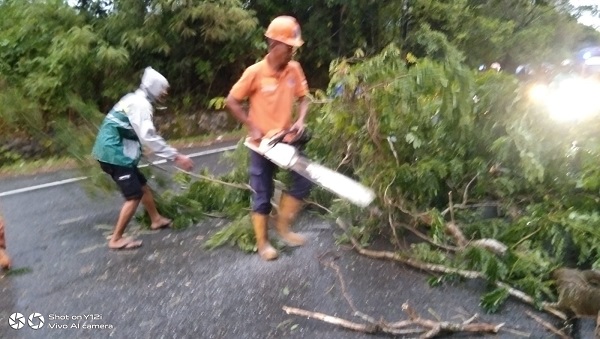 BPBD Aceh Besar Atasi Pohon Tumbang Dan Banjir