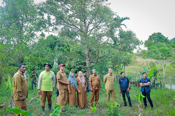 Sabang Akan Kembangkan Sektor Perkebunan Dan Pertanian Sabang Akan Kembangkan Sektor Perkebunan Dan Pertanian