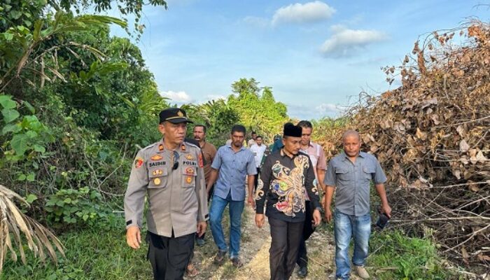 Konflik Harimau Merajalela Di Aceh, KLHK-RI Diminta Turun