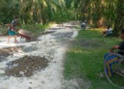 Perbaikan Jalan Desa Jatimulia Diapresiasi
