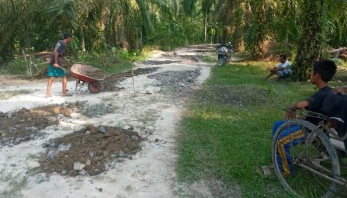 Perbaikan Jalan Desa Jatimulia Diapresiasi