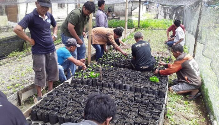 TPL Sektor Habinsaran Beri Bantuan Pupuk Dan Pelatihan Kepada KTH