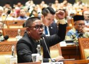 Dari 230 DCT DPRK Subulussalam, 86 Perempuan