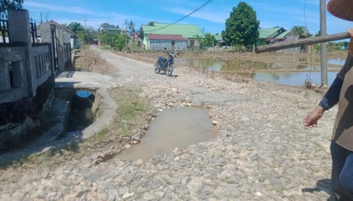 Di Abdya, Jalan Menuju Areal Perkebunan Penduduk Rusak Parah