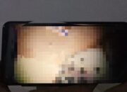 Wanita Diduga ASN Langkat Pembuat Video Tak Senonoh Dapat Jabatan Baru