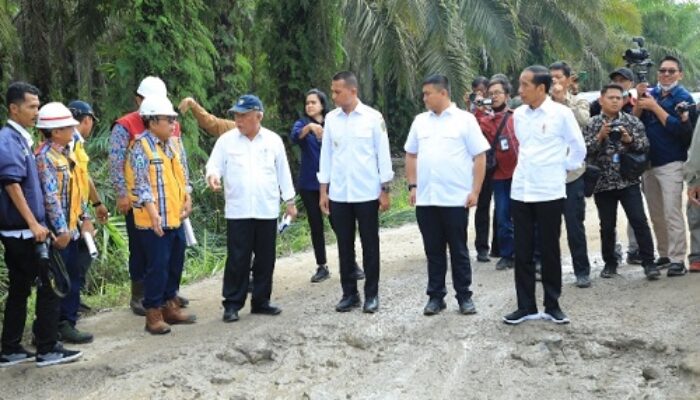 Jokowi Tinjau Jalan Rusak Labura
