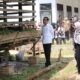 Presiden Jokowi tinjau pembibitan sawit dan pemeliharaan ternak di SMKN 1 Pertanian Kualuh Selatan, Kabupaten Labura, Rabu (17/5). Waspada/Ist