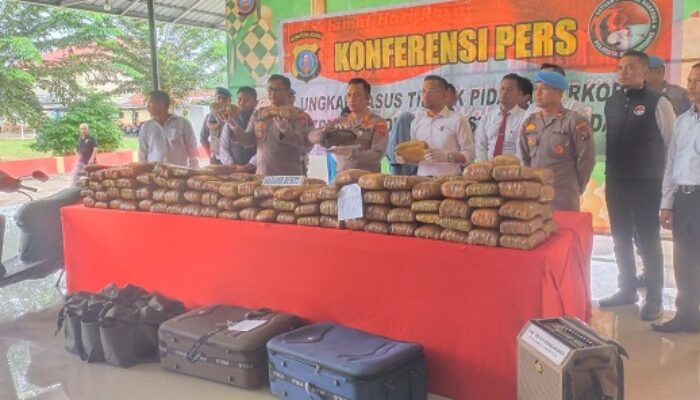 Polresta DS Ungkap Kasus Ganja 173 Kg Senilai Rp294 Juta