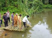 Pelihara Lingkungan Aliran Sungai, Zarnawi Tabur Benih Ikan