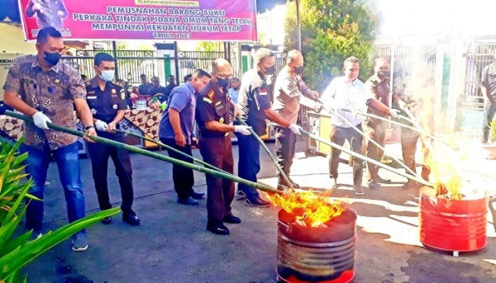 Kejari Gunungsitoli Musnahkan Barang Bukti Tipidum