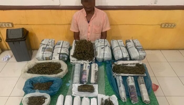 Satres Narkoba Abdya Amankan 2 Pemilik Ganja