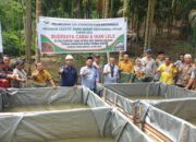 PT SMGP Salurkan Bantuan 17 Ribu Bibit Ikan Lele