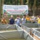 PT SMGP Salurkan Bantuan 17 Ribu Bibit Ikan Lele