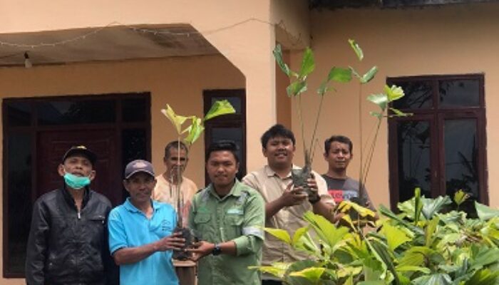 TPL Sektor Habinsaran Salurkan Bibit Aren Kepada Poktan