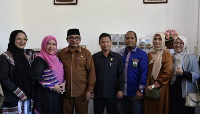 Pj Wali Kota Langsa Resmikan Galeri Dekranasda