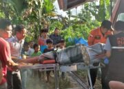 Sesosok Jenazah Ditemukan Di Kebun Salak Sibangkua