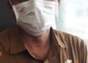 Virus ASF Kembali Merebak, Dinas Hanpangtan P.Siantar Lakukan Antisipasi