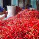 PENGEPUL Cabai merah dan sayur mayur tengah melakukan penyortiran sebelum dikirim ke luar daerah. Waspada/Andi Siregar