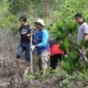 Iskandar Haka, SE saat melakukan rehabilitasi hutan mangrove di kawasan Pesisir Timur Aceh. Waspada/dede