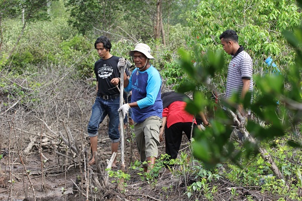 Iskandar Haka, SE saat melakukan rehabilitasi hutan mangrove di kawasan Pesisir Timur Aceh. Waspada/dede