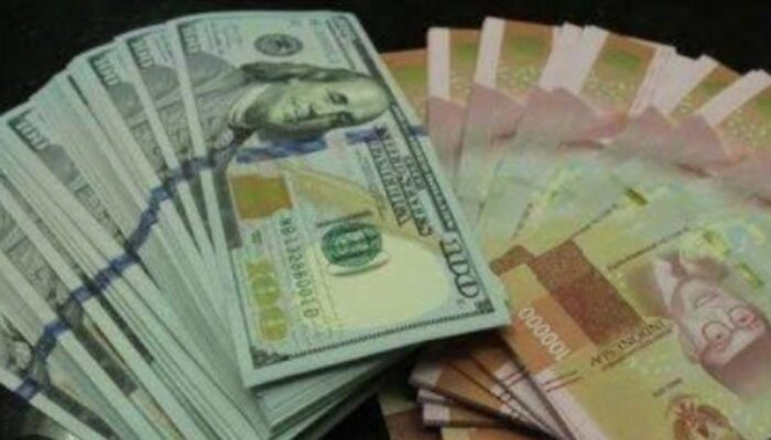 Utang Luar Negeri Alami Kontraksi Pertumbuhan 1,9 Persen