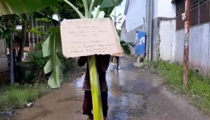 Protes Jalan Rusak, Warga Medan Deli Tanam Pohon Pisang