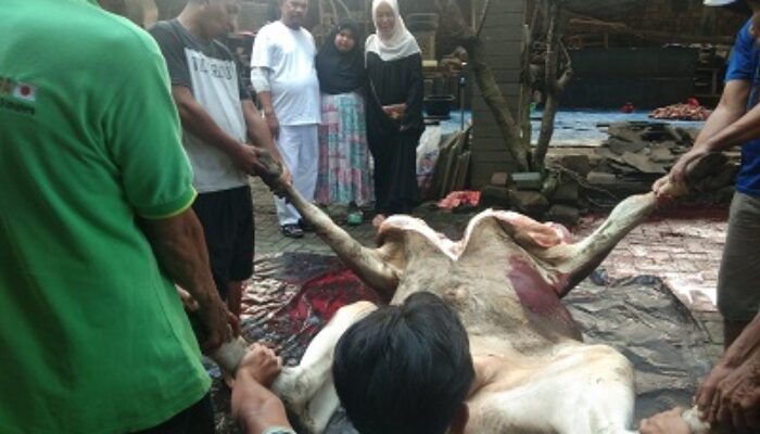 Momen Idul Adha, Rahudman: Saling Berbagi Untuk Mempertebal Keimanan dan Ketaqwaan 