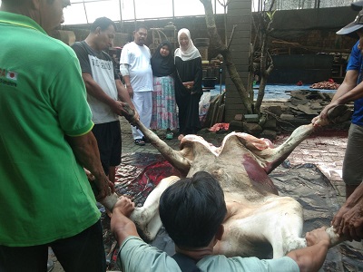 Ketua Dewan Pakar DPW Partai NasDem Sumut, Rahudman Harahap menghadiri penyembelihan tiga ekor sapi kurban yang diadakan keluarga besarnya di Komplek Indah Traso, Jl Setia Budi, Medan, Kamis (29/6). Waspada/Ist