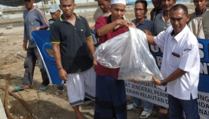 T.A Khalid Serahkan Bantuan Induk Kakap Di Aceh Utara