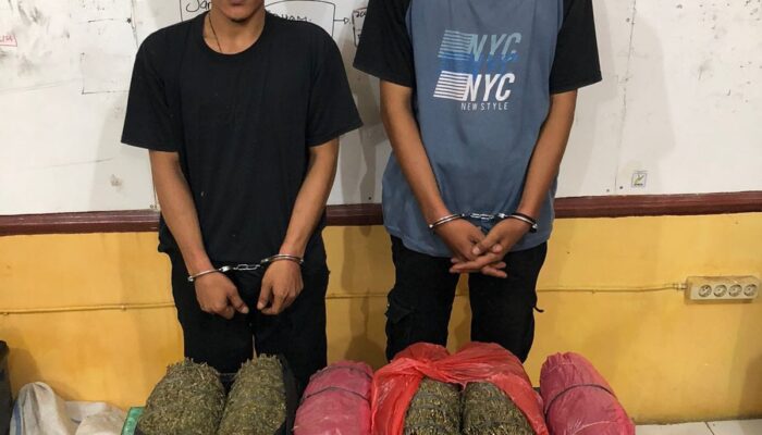 Miliki 8,430 Gram Ganja, 2 Warga Abdya ‘Gol’