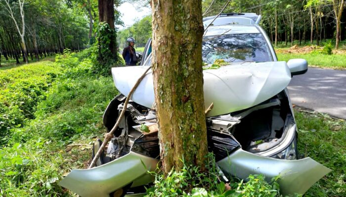 Xenia Tabrak Pohon, 4 Luka-luka