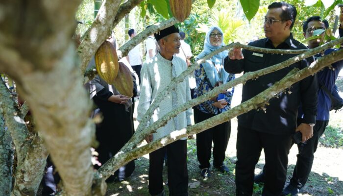 Petani Sabang Tidak Dapat Alokasi Pupuk Subsidi