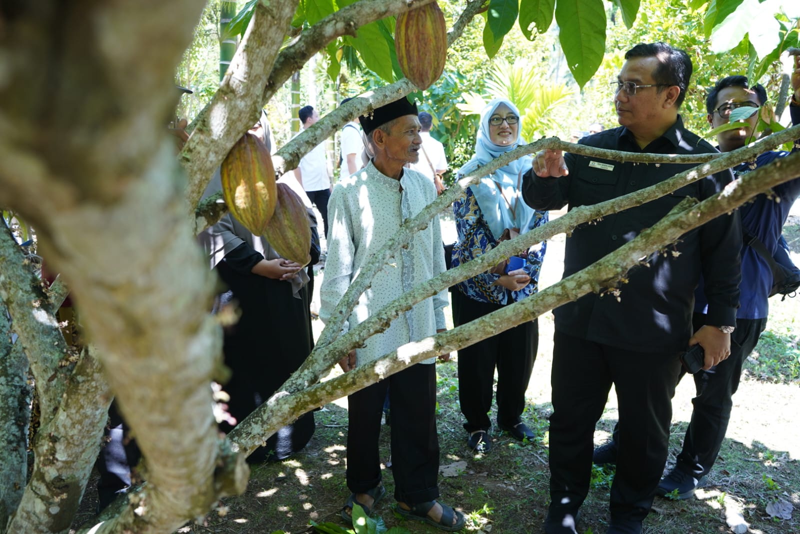 Petani Sabang Tidak Dapat Alokasi Pupuk Subsidi