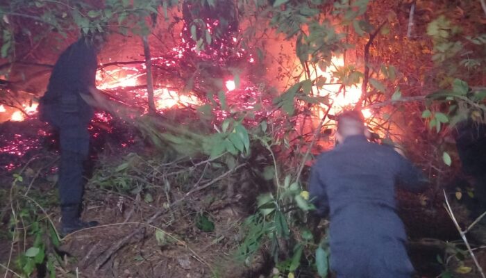 Kawasan Hutan Lindung Seulawah Terbakar