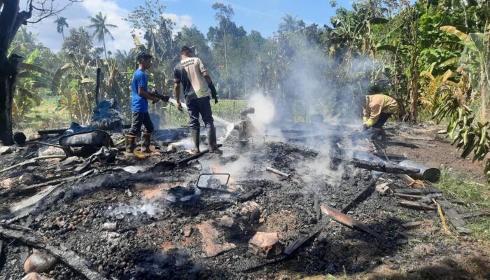 Bakar Sampah, Kandang Sapi Ikut Musnah