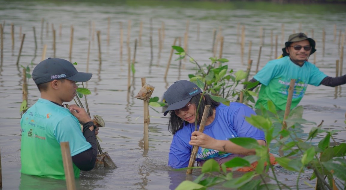 Biofarma Group Tanam 5.500 Bibit Mangrove Di Subang