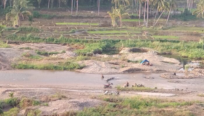 PETI Di Palas Terkesan Dibiarkan