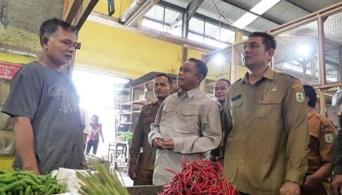 Darma Wijaya Tinjau Harga Pangan Di Pasar Rampah