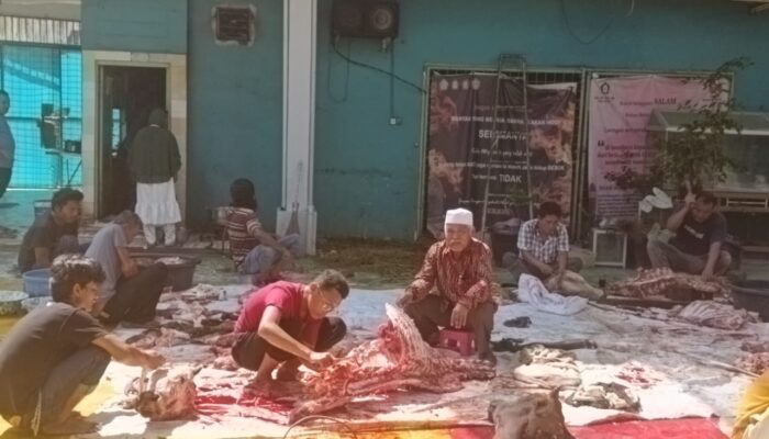 Rayakan Idul Adha Yayasan Perguruan Bina Santri Sembelih 5 Ekor Lembu