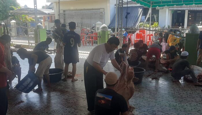 BKM Muslimin Sembelih 16 Hewan Kurban