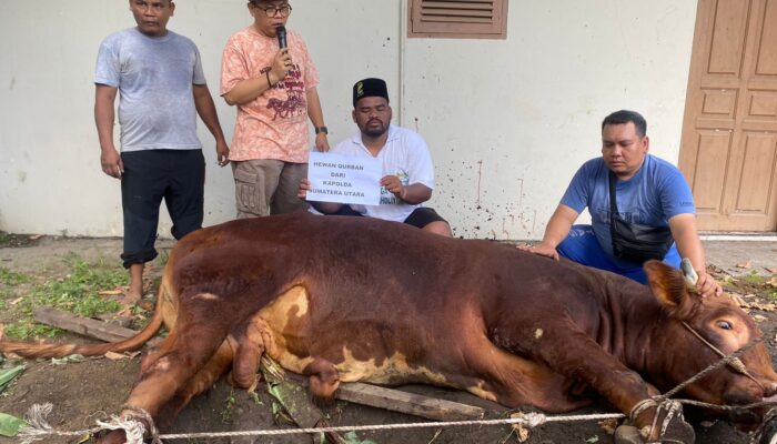 Gema Santri Nusa Dan Majlis Sholawat Ahlul Kirom Sembelih 2 Hewan Kurban