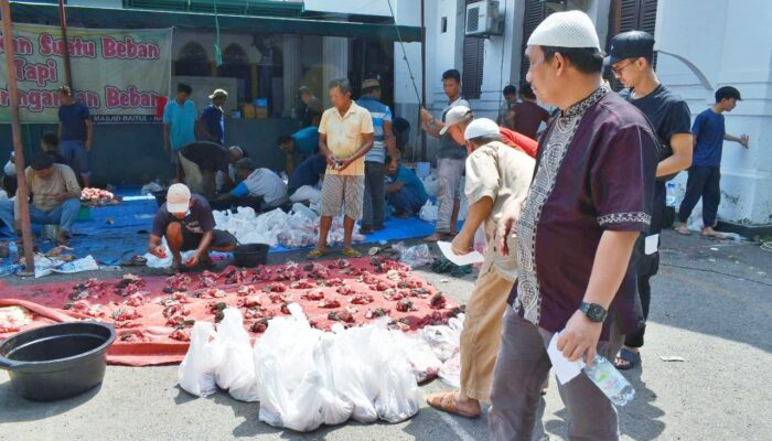 Idul Adha 1444 H, PN Medan Sembelih 6 Ekor Lembu