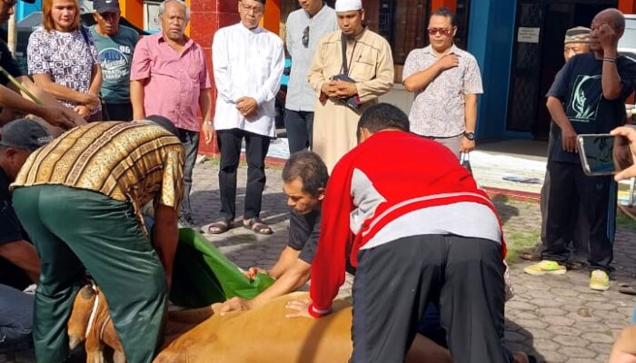 Momen Iduladha, SMSI Sumut Sembelih 1 Sapi Dan 3 Kambing