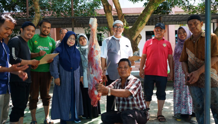 Hari Raya Idul Adha 1444 H, YPSA Sembelih 10 Sapi Dan 19 Kambing 