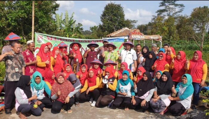 Kampung KB Berkualitas Wujudkan Pembangunan Generasi Indonesia Emas