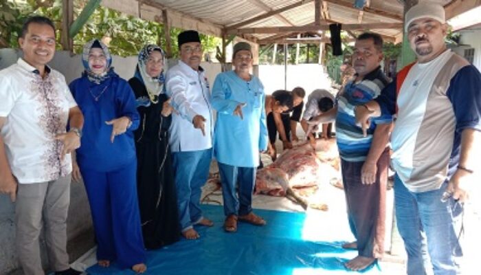 Pererat Kebersamaan, DPP IKA SMAN 7 Medan Sembelih Hewan Kurban