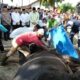 WALI Kota Medan Bobby Nasution beserta keluarga menyumbang dua ekor hewan qurban untuk disembelih di Kecamatan Medan Deli yang dilaksanakan di Lapangan Bola Mabar, Kec. Medan Deli, Kamis (29/6). Waspada/Ist