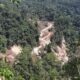 Bukit Tor Padang Ri di Dusun Lenggahara Desa Somba Debata Purba Tapsel yang kayunya ditumbangi. (Waspada/Sukri Falah Harahap)