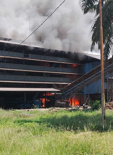 PKS PT Parasawita yang berada di Kampung Binjai, Kec Seruway, Kab Aceh Tamiang yang mengalami musibah kebakaran pada Jumat (16/6) siang.(Waspada/Ist).